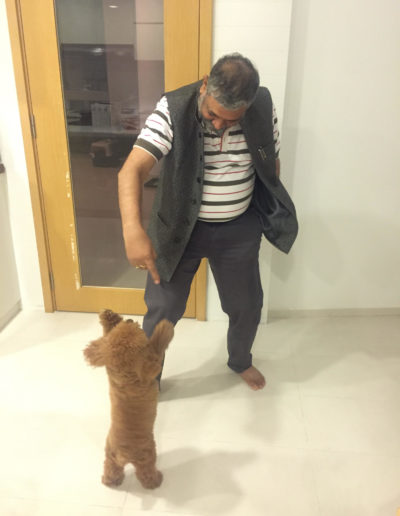 Shashi With Dog